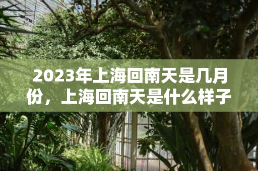 2023年上海回南天是几月份，上海回南天是什么样子