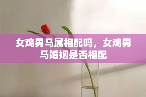 女鸡男马属相配吗，女鸡男马婚姻是否相配