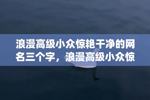 浪漫高级小众惊艳干净的网名三个字，浪漫高级小众惊艳干净的文案友情(超级温柔文艺的友情文案)