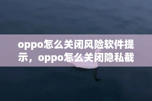 oppo怎么关闭风险软件提示，oppo怎么关闭隐私截屏