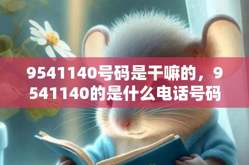 9541140号码是干嘛的，9541140的是什么电话号码