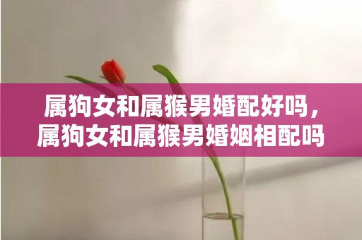 属狗女和属猴男婚配好吗，属狗女和属猴男婚姻相配吗