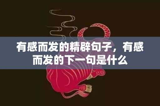 有感而发的精辟句子，有感而发的下一句是什么