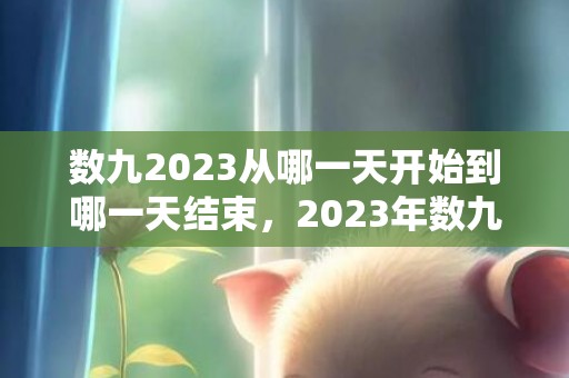 数九2023从哪一天开始到哪一天结束，2023年数九天是几号开始几号结束