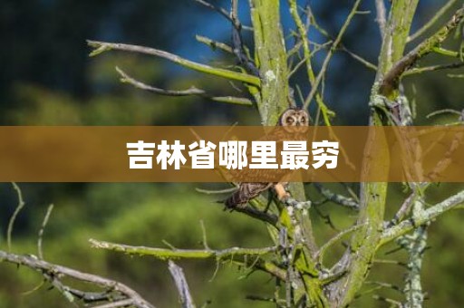 吉林省哪里最穷