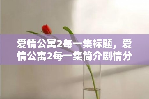 爱情公寓2每一集标题，爱情公寓2每一集简介剧情分析 爱情公寓评价