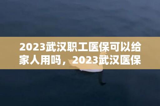 2023武汉职工医保可以给家人用吗，2023武汉医保可以给家属用吗