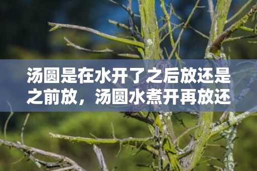 汤圆是在水开了之后放还是之前放，汤圆水煮开再放还是直接放