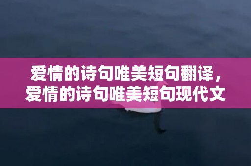 爱情的诗句唯美短句翻译，爱情的诗句唯美短句现代文摘抄？6字唯美短句