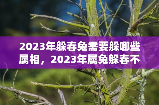 2023年躲春兔需要躲哪些属相，2023年属兔躲春不能和哪里生肖在一起