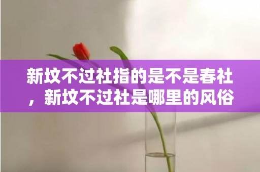 新坟不过社指的是不是春社，新坟不过社是哪里的风俗