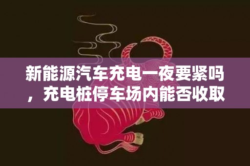 新能源汽车充电一夜要紧吗，充电桩停车场内能否收取停车费