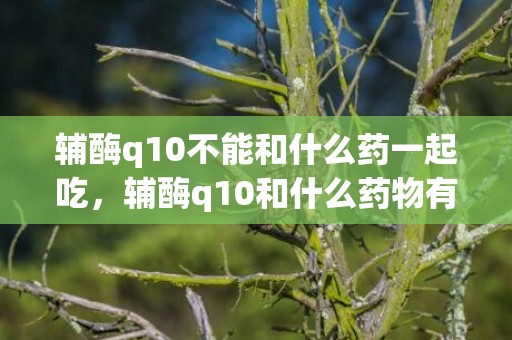 辅酶q10不能和什么药一起吃，辅酶q10和什么药物有冲突