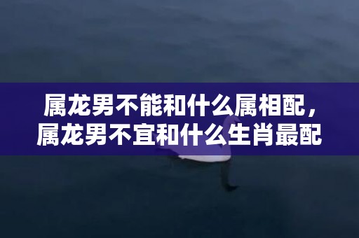 属龙男不能和什么属相配，属龙男不宜和什么生肖最配