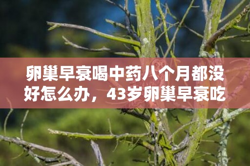 卵巢早衰喝中药八个月都没好怎么办，43岁卵巢早衰吃中药怎么调理