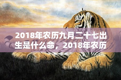 2018年农历九月二十七出生是什么命，2018年农历九月二十四出生男孩取名，当天出生的命好吗？