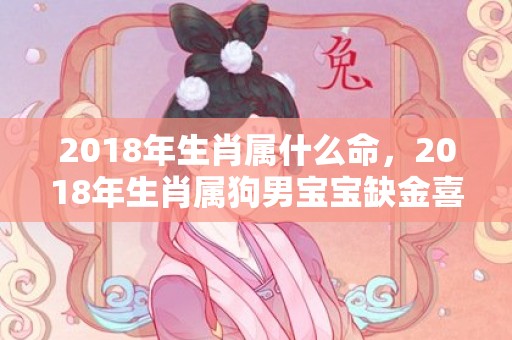 2018年生肖属什么命，2018年生肖属狗男宝宝缺金喜木起名大全