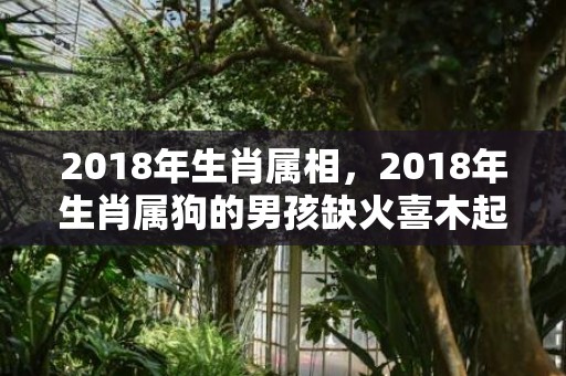 2018年生肖属相，2018年生肖属狗的男孩缺火喜木起名大全