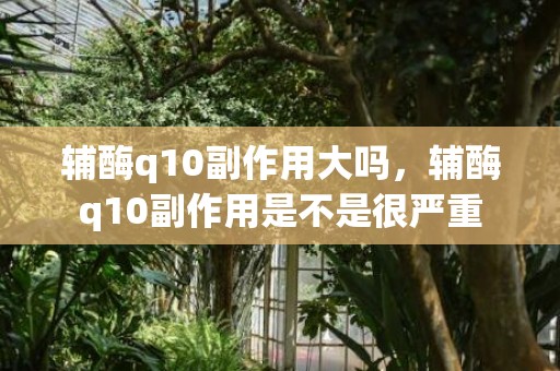 辅酶q10副作用大吗，辅酶q10副作用是不是很严重