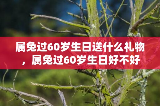 属兔过60岁生日送什么礼物，属兔过60岁生日好不好