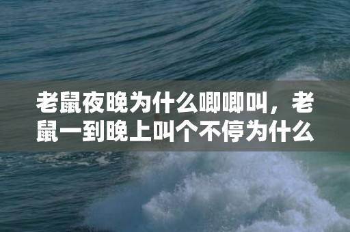 老鼠夜晚为什么唧唧叫，老鼠一到晚上叫个不停为什么