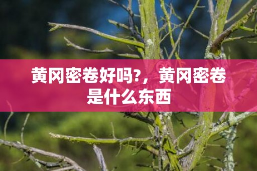 黄冈密卷好吗?，黄冈密卷是什么东西