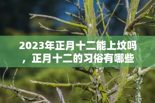 2023年正月十二能上坟吗，正月十二的习俗有哪些