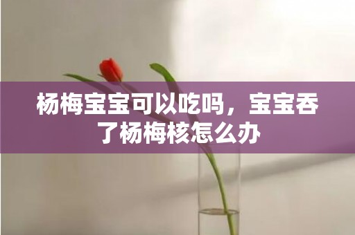 杨梅宝宝可以吃吗，宝宝吞了杨梅核怎么办