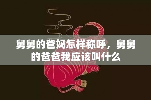 舅舅的爸妈怎样称呼，舅舅的爸爸我应该叫什么