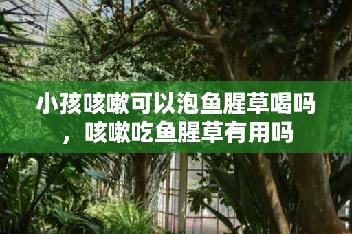 小孩咳嗽可以泡鱼腥草喝吗，咳嗽吃鱼腥草有用吗