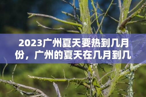 2023广州夏天要热到几月份，广州的夏天在几月到几月