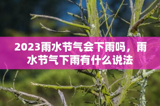 2023雨水节气会下雨吗，雨水节气下雨有什么说法