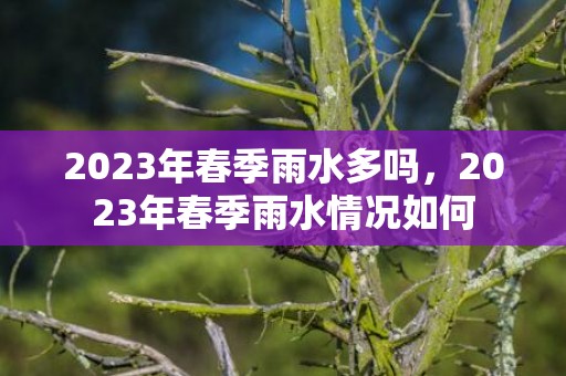 2023年春季雨水多吗，2023年春季雨水情况如何