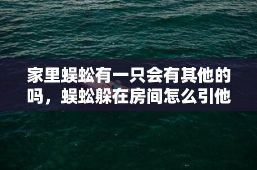 家里蜈蚣有一只会有其他的吗，蜈蚣躲在房间怎么引他出来