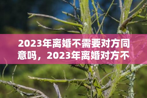 2023年离婚不需要对方同意吗，2023年离婚对方不同意能离吗