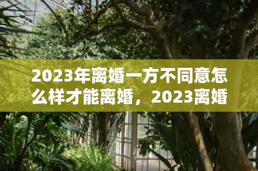 2023年离婚一方不同意怎么样才能离婚，2023离婚一方不同意多久可以离婚