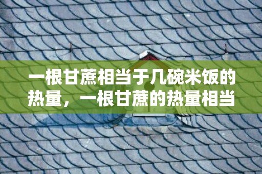 一根甘蔗相当于几碗米饭的热量，一根甘蔗的热量相当于多少瓶可乐