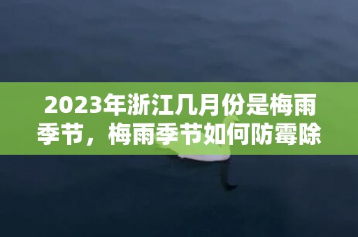 2023年浙江几月份是梅雨季节，梅雨季节如何防霉除湿