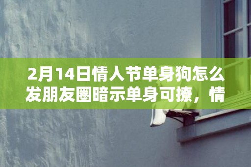 2月14日情人节单身狗怎么发朋友圈暗示单身可撩，情人节单身狗搞笑文案汇总