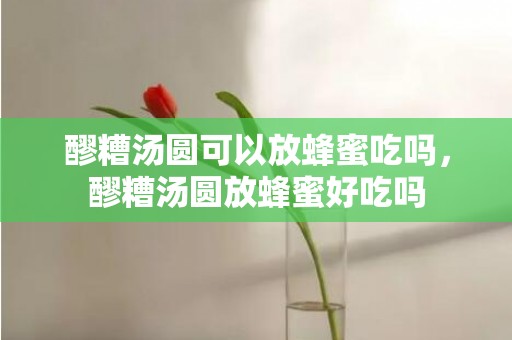 醪糟汤圆可以放蜂蜜吃吗，醪糟汤圆放蜂蜜好吃吗