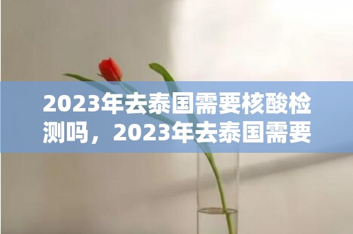 2023年去泰国需要核酸检测吗，2023年去泰国需要疫苗证明吗