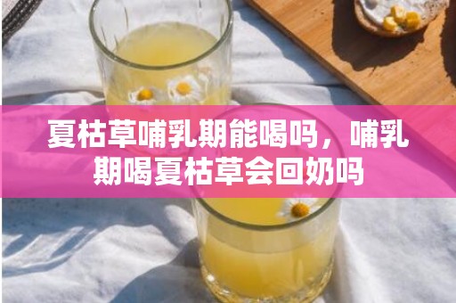 夏枯草哺乳期能喝吗，哺乳期喝夏枯草会回奶吗