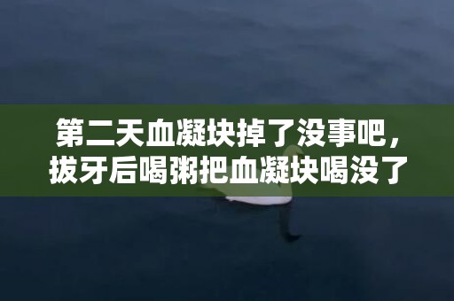 第二天血凝块掉了没事吧，拔牙后喝粥把血凝块喝没了怎么办