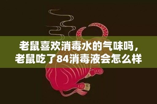 老鼠喜欢消毒水的气味吗，老鼠吃了84消毒液会怎么样