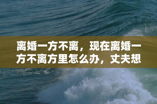 离婚一方不离，现在离婚一方不离方里怎么办，丈夫想离婚妻子不离怎么办