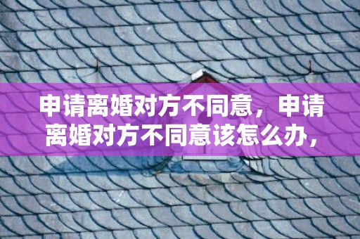 申请离婚对方不同意，申请离婚对方不同意该怎么办，提离婚对方不同意怎么办