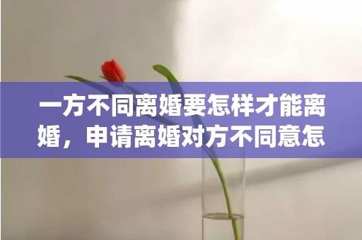 一方不同离婚要怎样才能离婚，申请离婚对方不同意怎么处理(起诉对方不同意离婚怎么办)