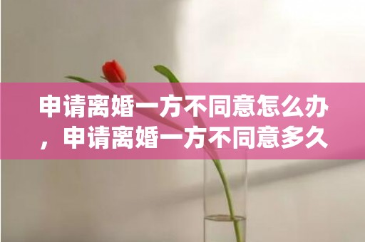 申请离婚一方不同意怎么办，申请离婚一方不同意多久可以离婚(夫妻离婚一方不同意怎么办)