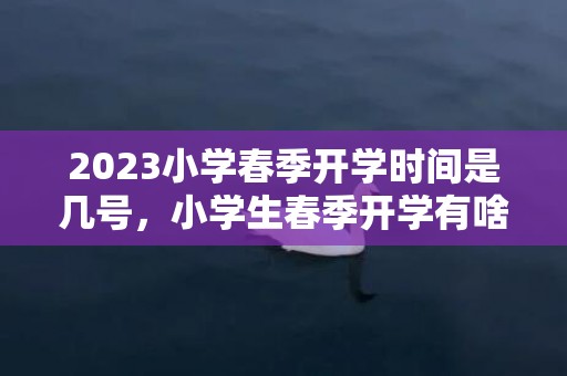 2023小学春季开学时间是几号，小学生春季开学有啥注意的