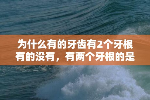 为什么有的牙齿有2个牙根有的没有，有两个牙根的是什么牙